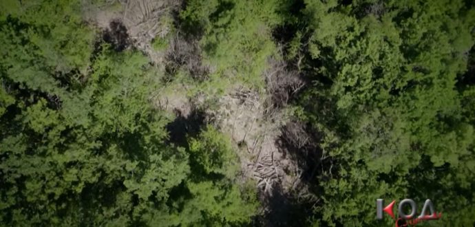 seca suma dron kozjak jasen kod nas
